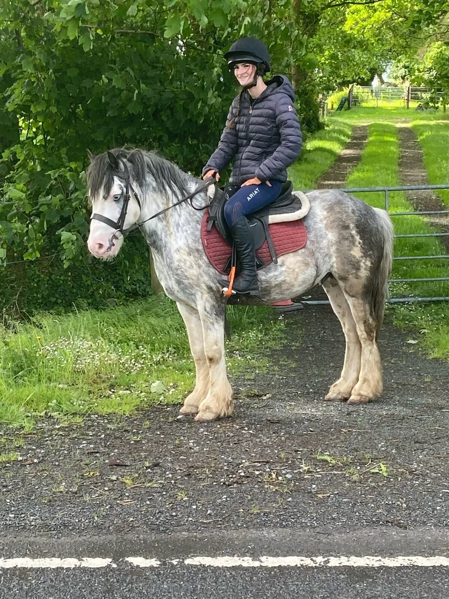 😍APPLEJACK😍RIDE & DRIVE €1950 - Image 1