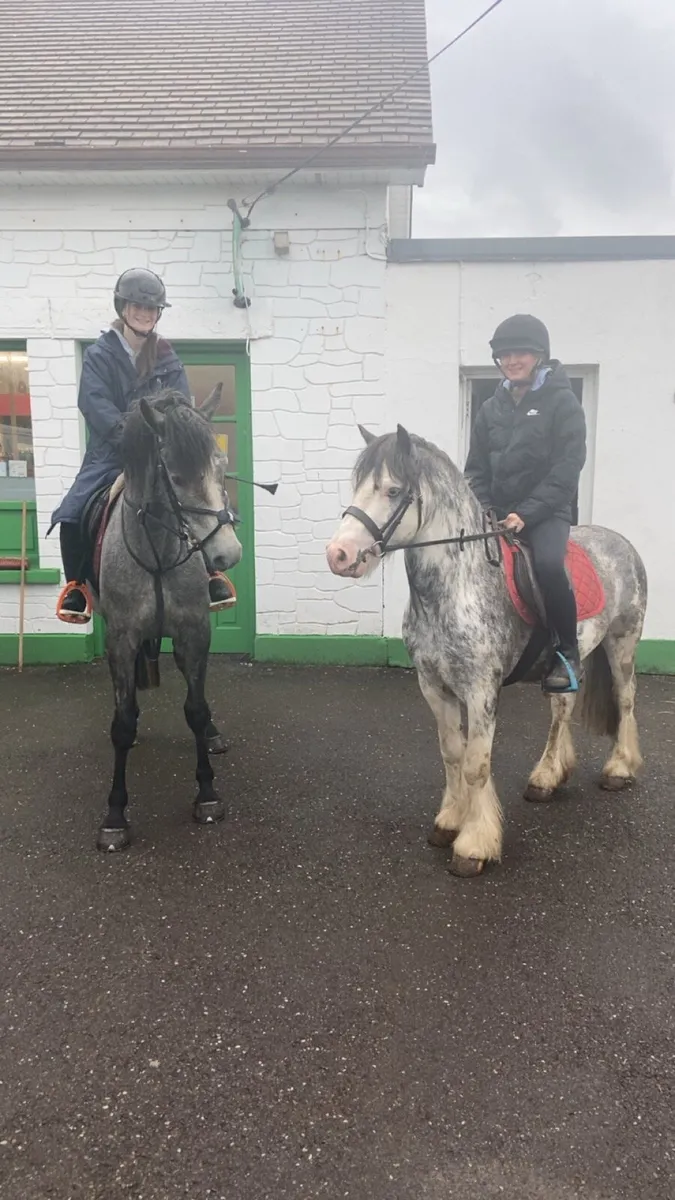 😍APPLEJACK😍RIDE & DRIVE €1950 - Image 4