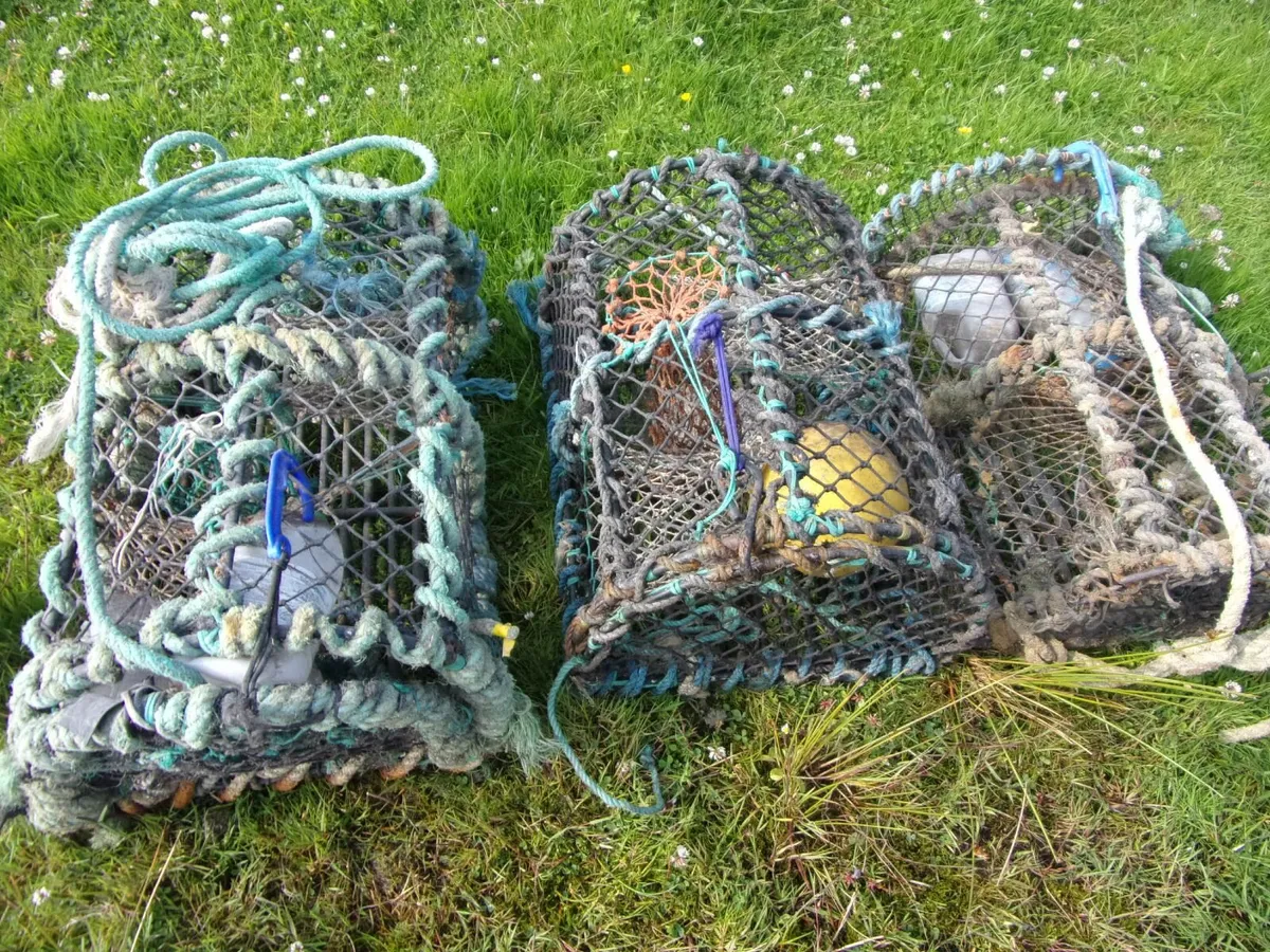Lobster pots x 3 - Image 1