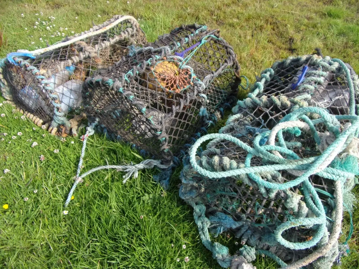 Lobster pots x 3 - Image 3
