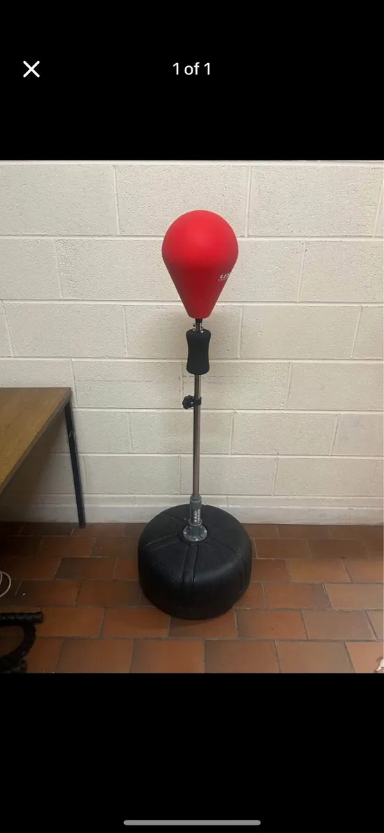 Freestanding Boxing Bag
