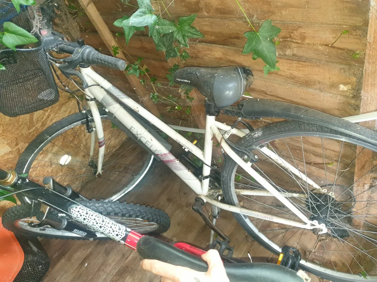 Bikes - Image 2