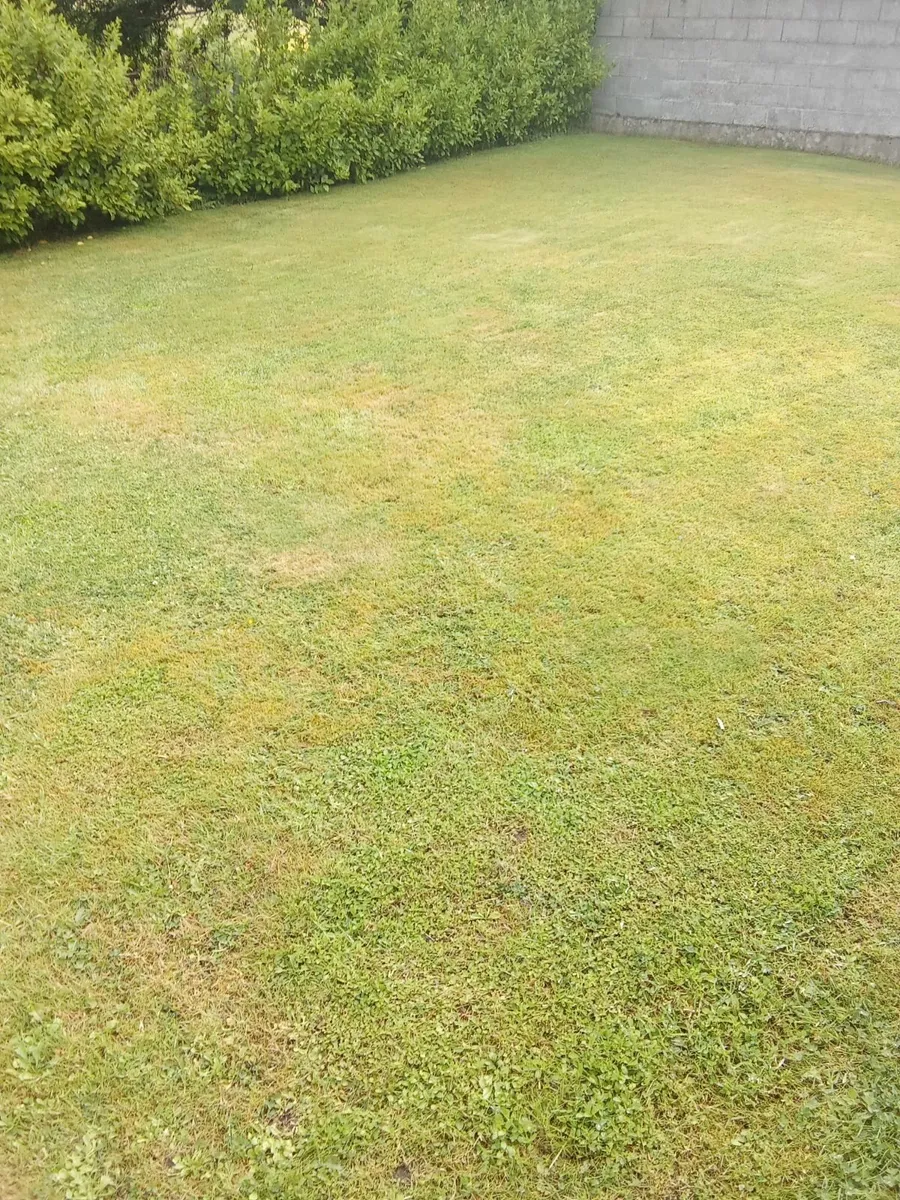 I am available to cut lawns in the Ennis area - Image 1