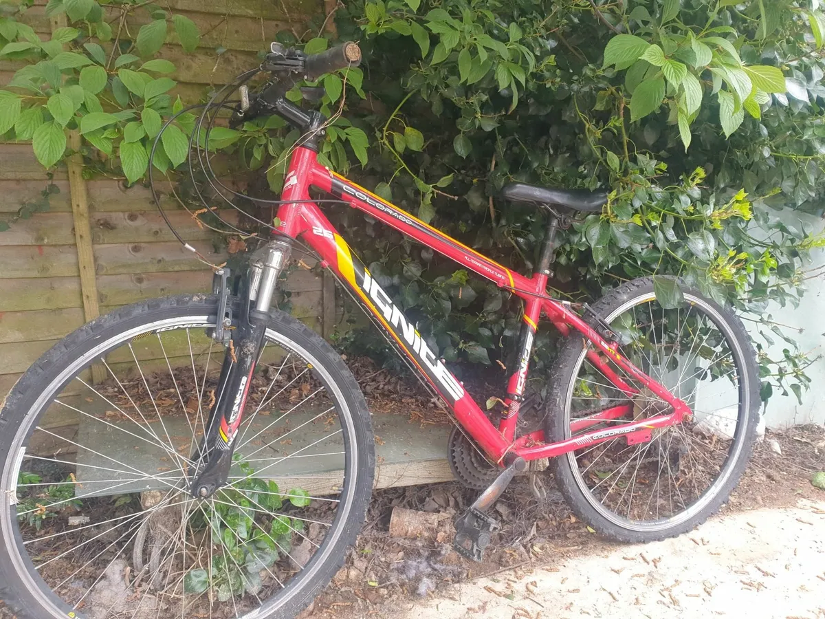 Bikes - Image 3