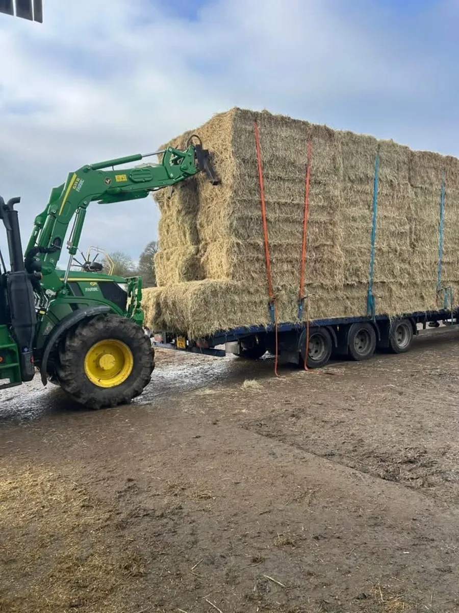 New season English June hay in 8x4x3s - Image 1