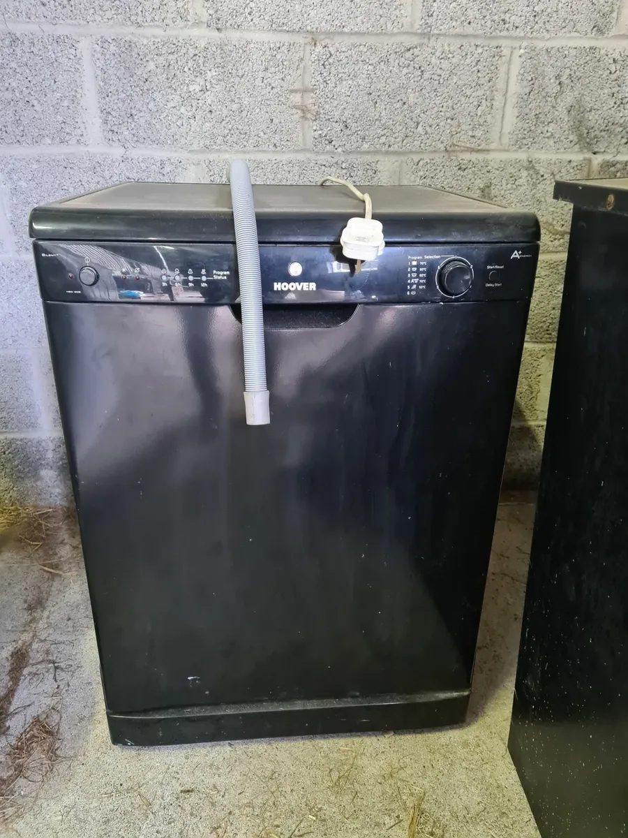 Dishwasher and oven/grill - Image 4