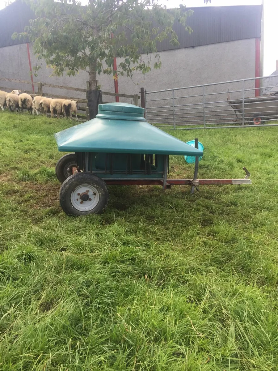 sheep creep feeders