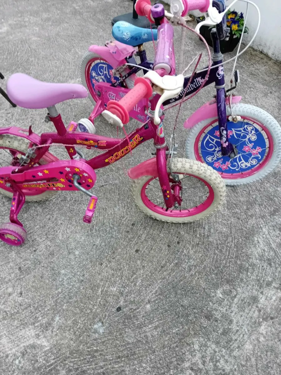 2 SMALL GIRLS BIKES