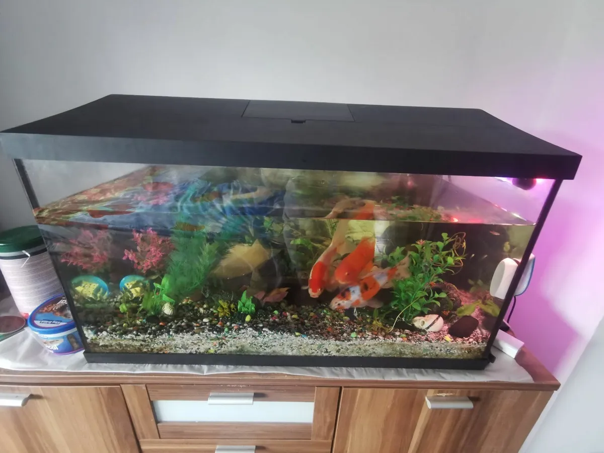 Fish tank with cabinet full set - Image 1
