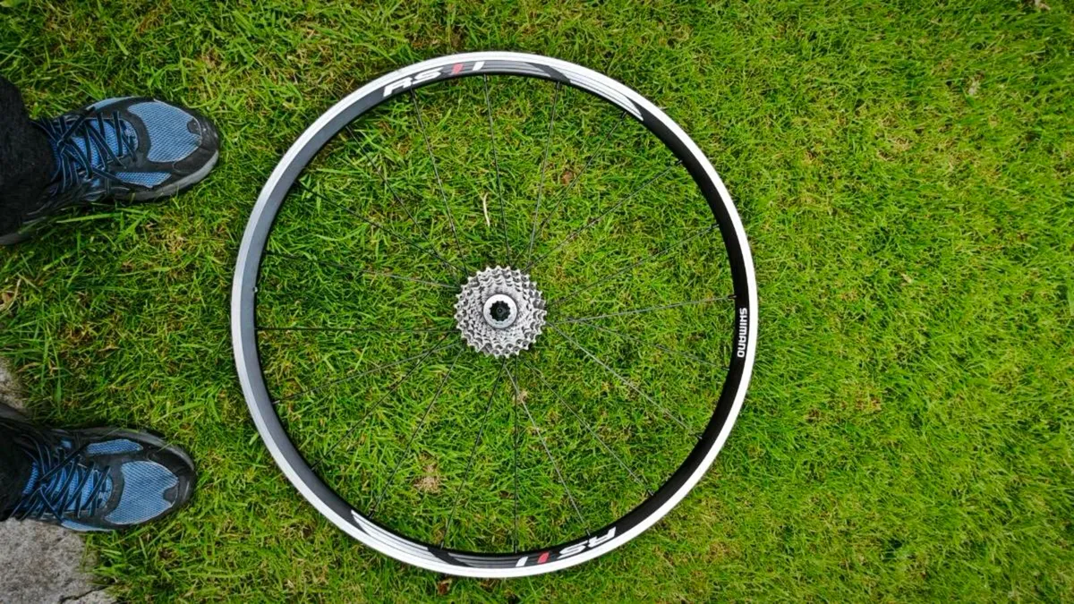 Wheels Shimano RS 100 - Image 1