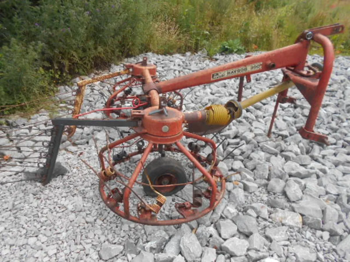 PZ 300 HAYBOB C/W GATES - Image 2