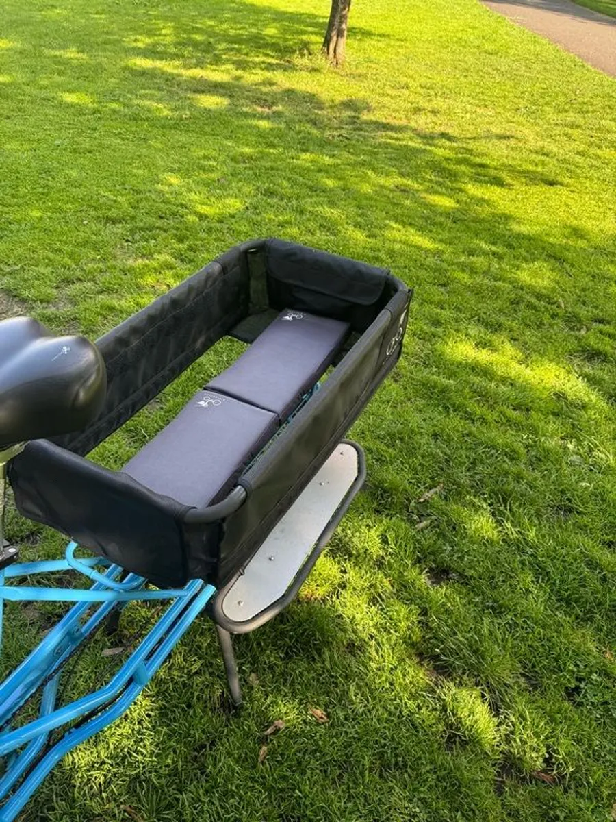 Cargo Bike - Bicicapce - Image 3