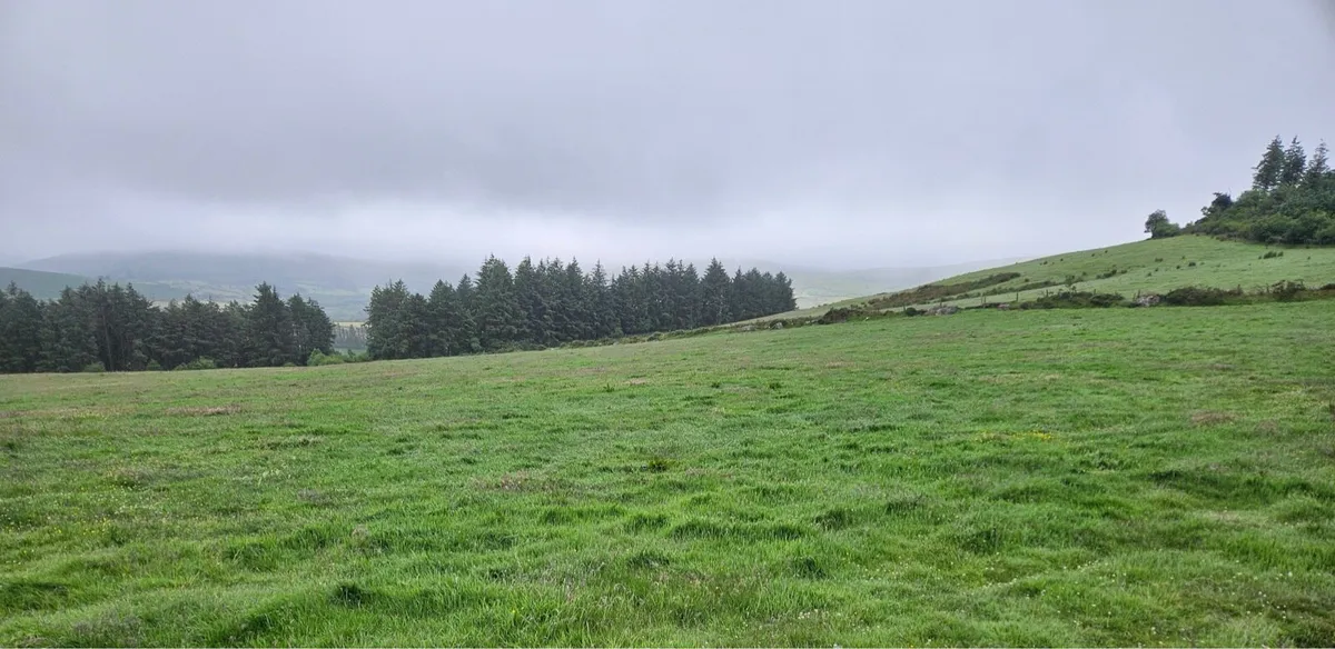 Silage for Sale - Image 1
