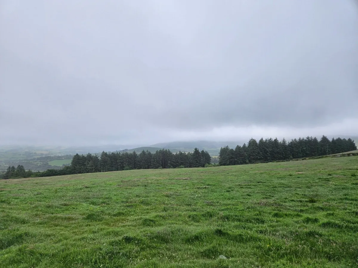 Silage for Sale - Image 3
