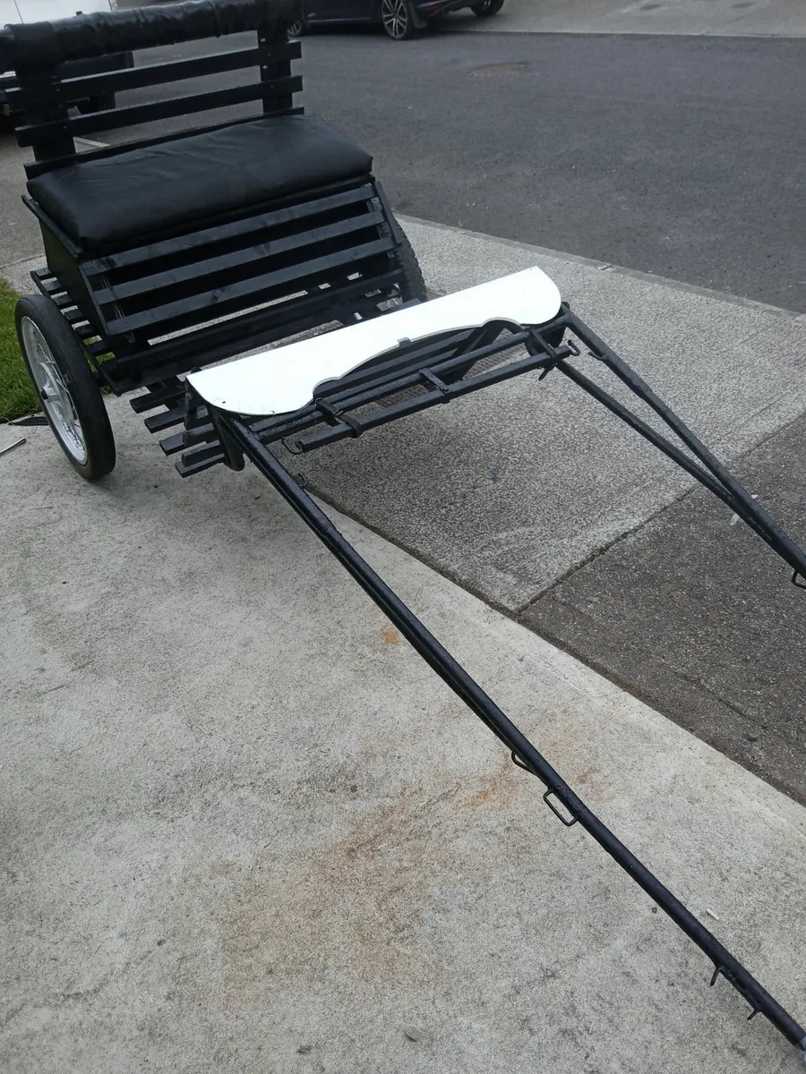 Road cart - Image 1