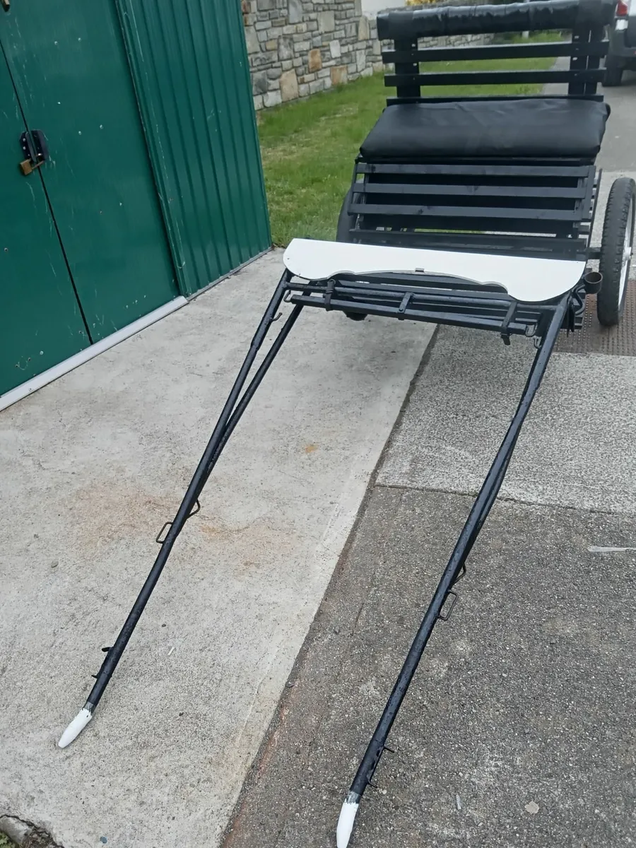 Road cart - Image 3