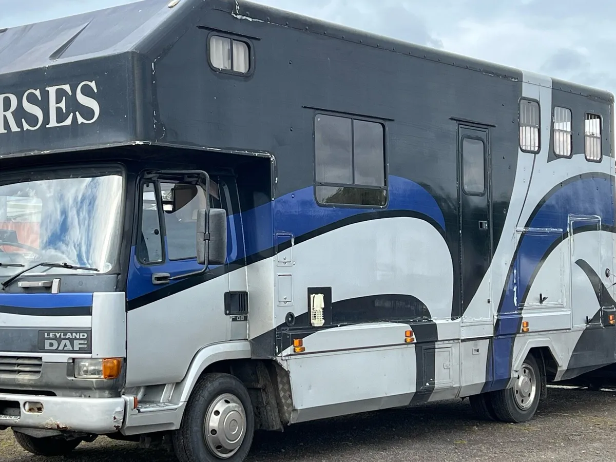 7.5t DAF horsebox - Image 2