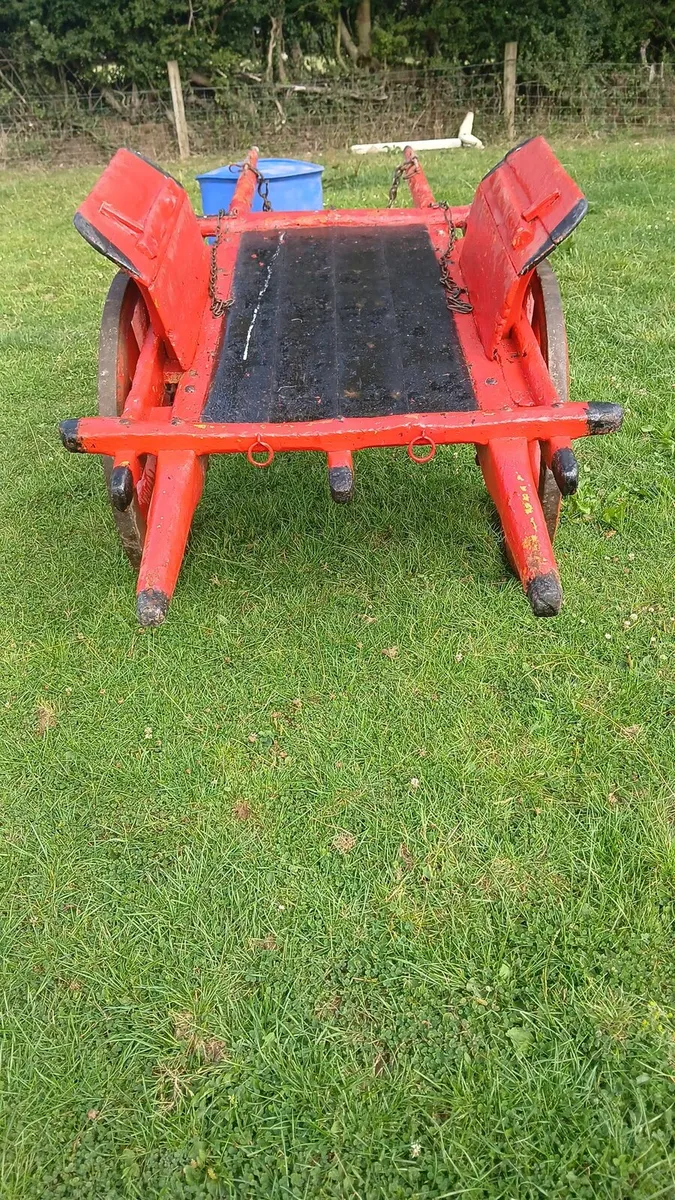 Donkey or pony cart - Image 3