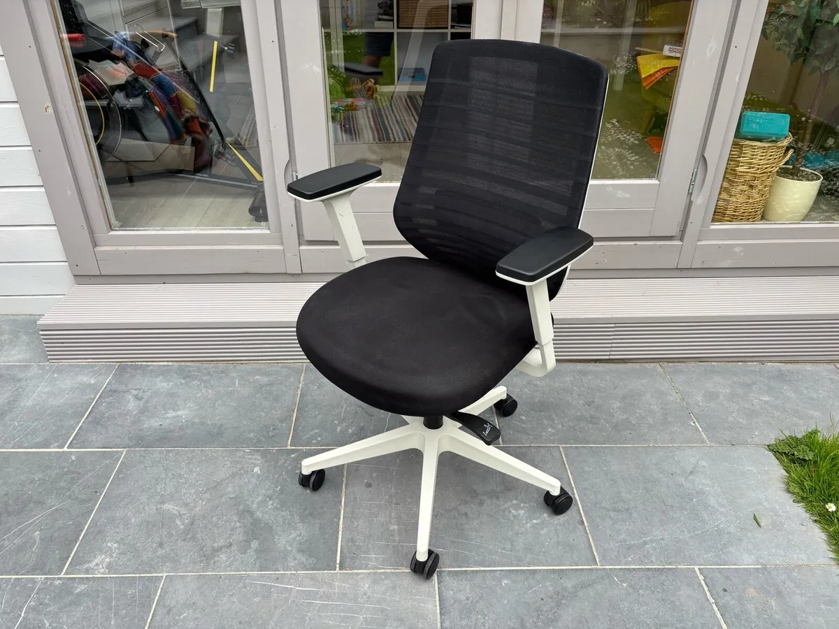 X.77 Ergonomic Office Chair with Lumbar Support - Image 1