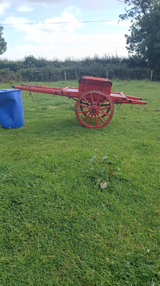 Donkey or pony cart - Image 2