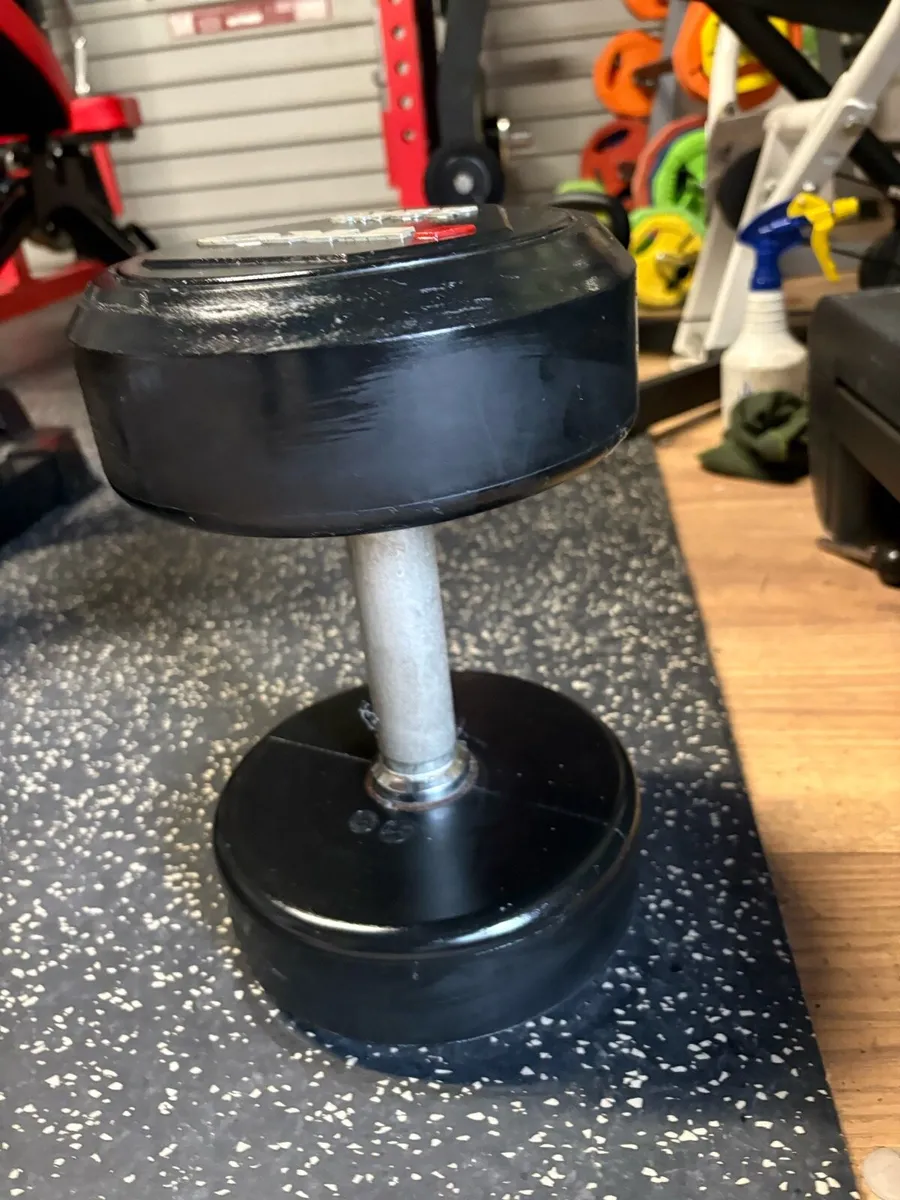 22KG COMMERCIAL RUBBER DUMBBELL X 1 - Image 1