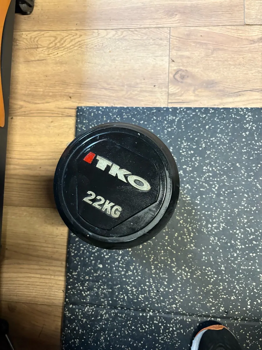 22KG COMMERCIAL RUBBER DUMBBELL X 1 - Image 2