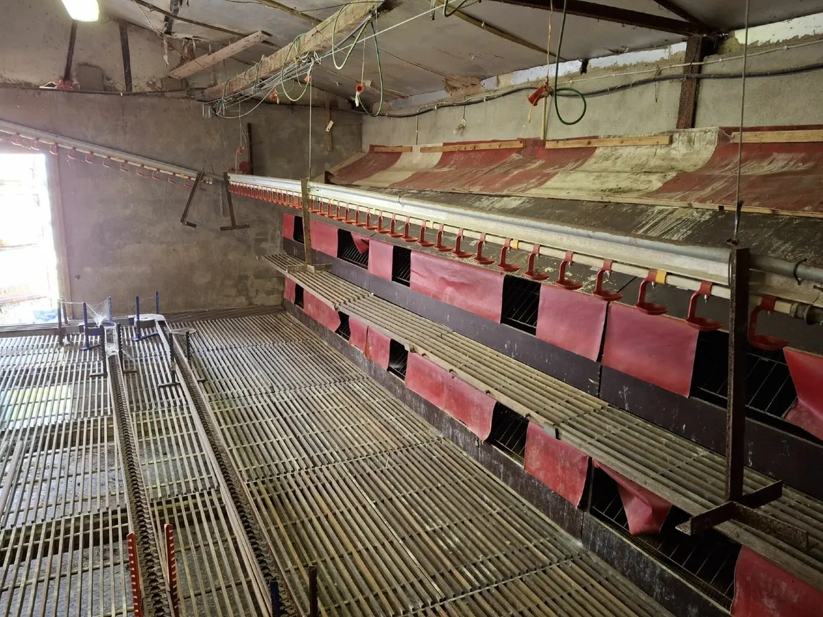 Poultry Equipment - Image 2