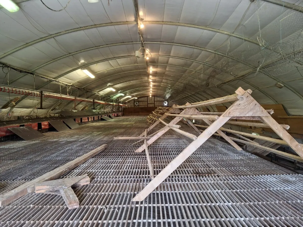 Poultry Equipment - Image 1