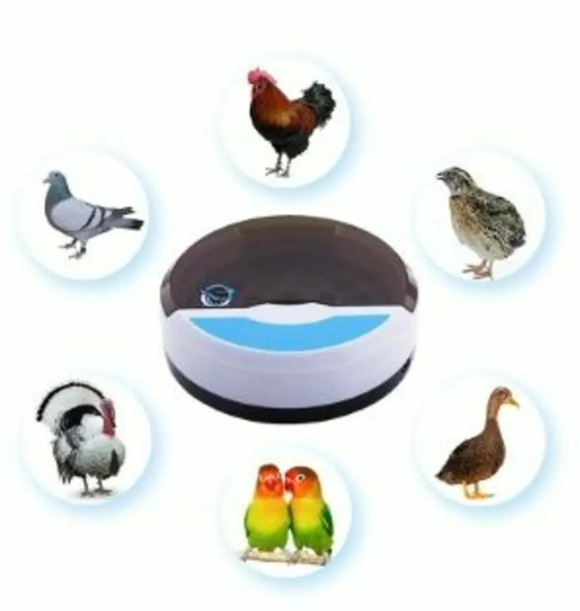 Eggs Incubator Automatic  9 eggs+  4 bird - Image 2