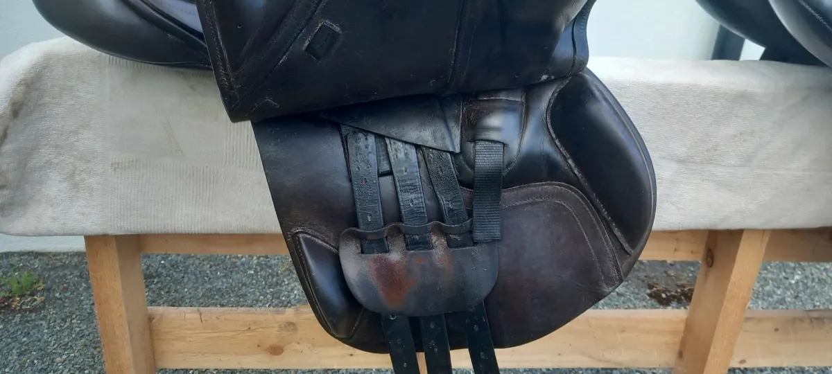 Albion saddles - Image 2