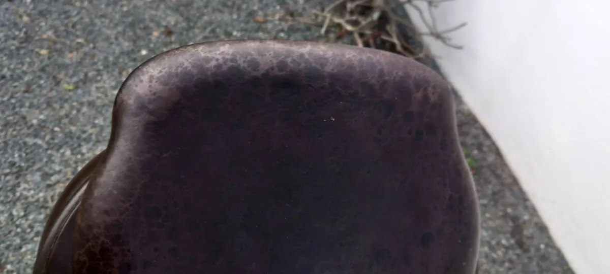 Albion saddles - Image 3