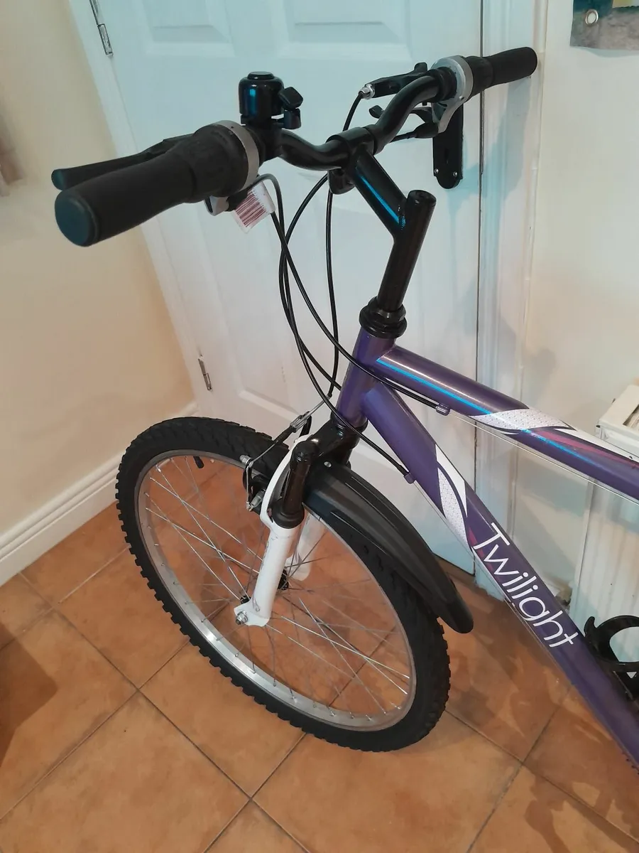 Bicycle - Image 3
