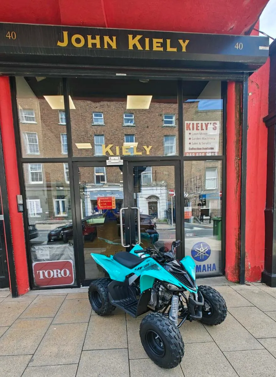 Yamaha YFM Raptor 110 Quad - Image 2