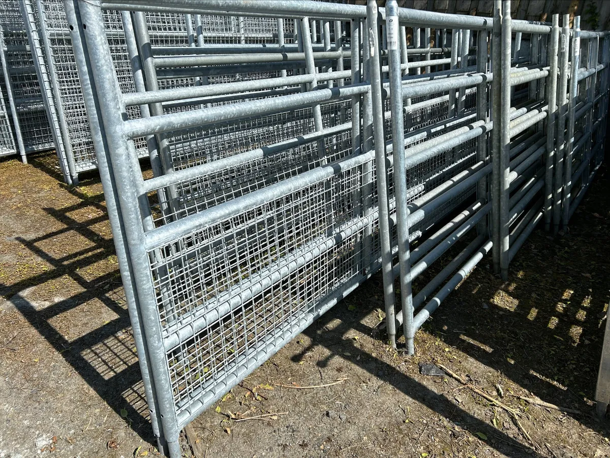 GALVAINSED GATES AT FRS FENCING TINAHELY - Image 1