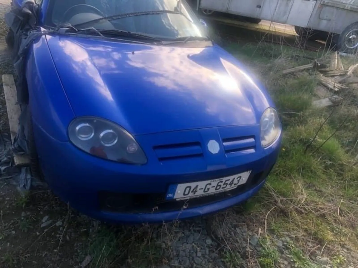 MG TF 135 - Image 1