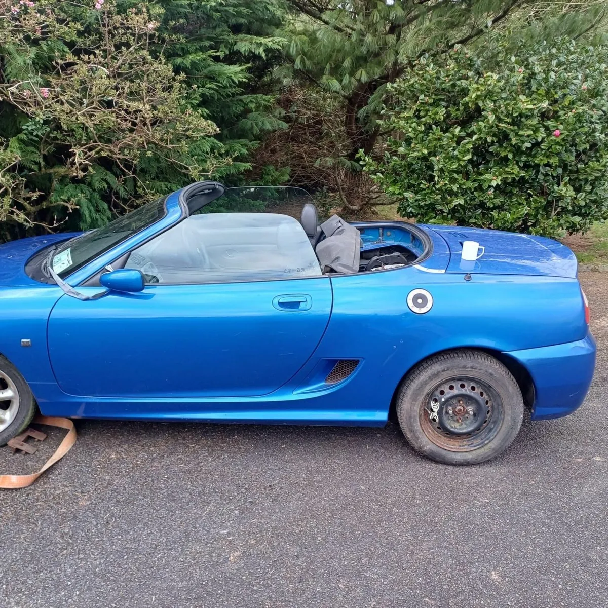 MG TF 135 - Image 2