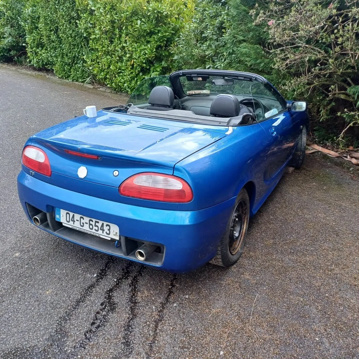 MG TF 135 - Image 3