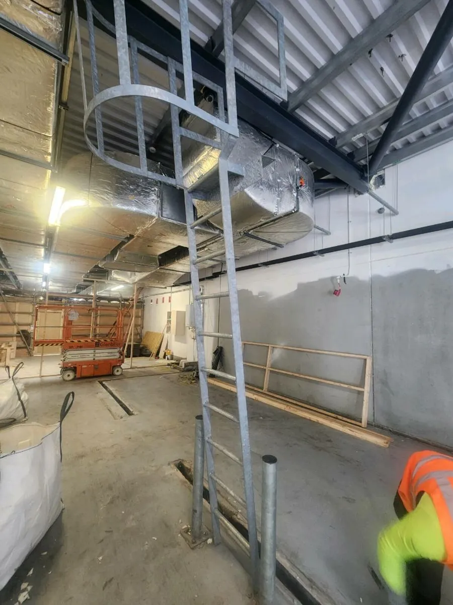 Roof access ladder - Image 1