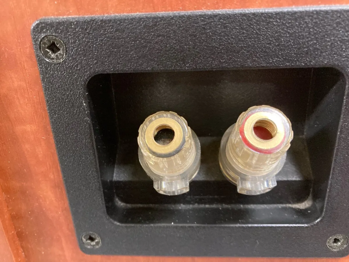 Dali Speaker Pair - Image 4