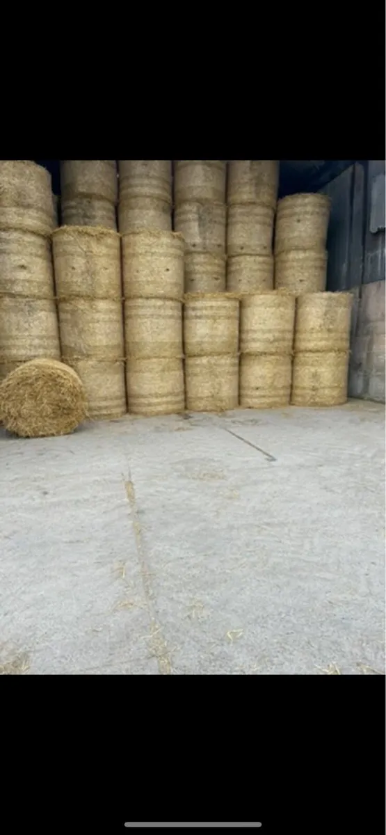 Straw - Image 1