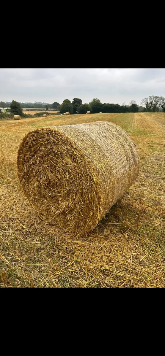 Straw - Image 2