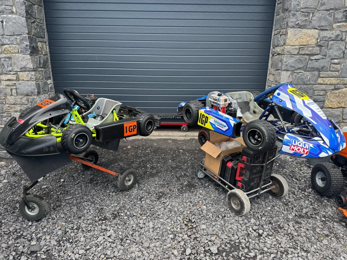Bambino karts - Comer / Iame - Image 3