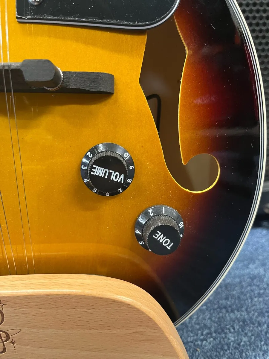 Freshman Mandolin - Image 3