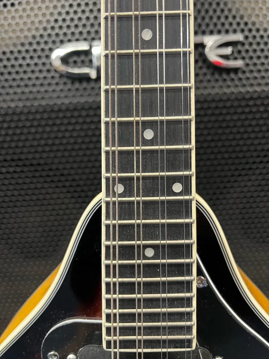 Freshman Mandolin - Image 4
