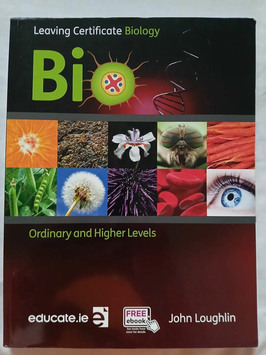 Secondary school books