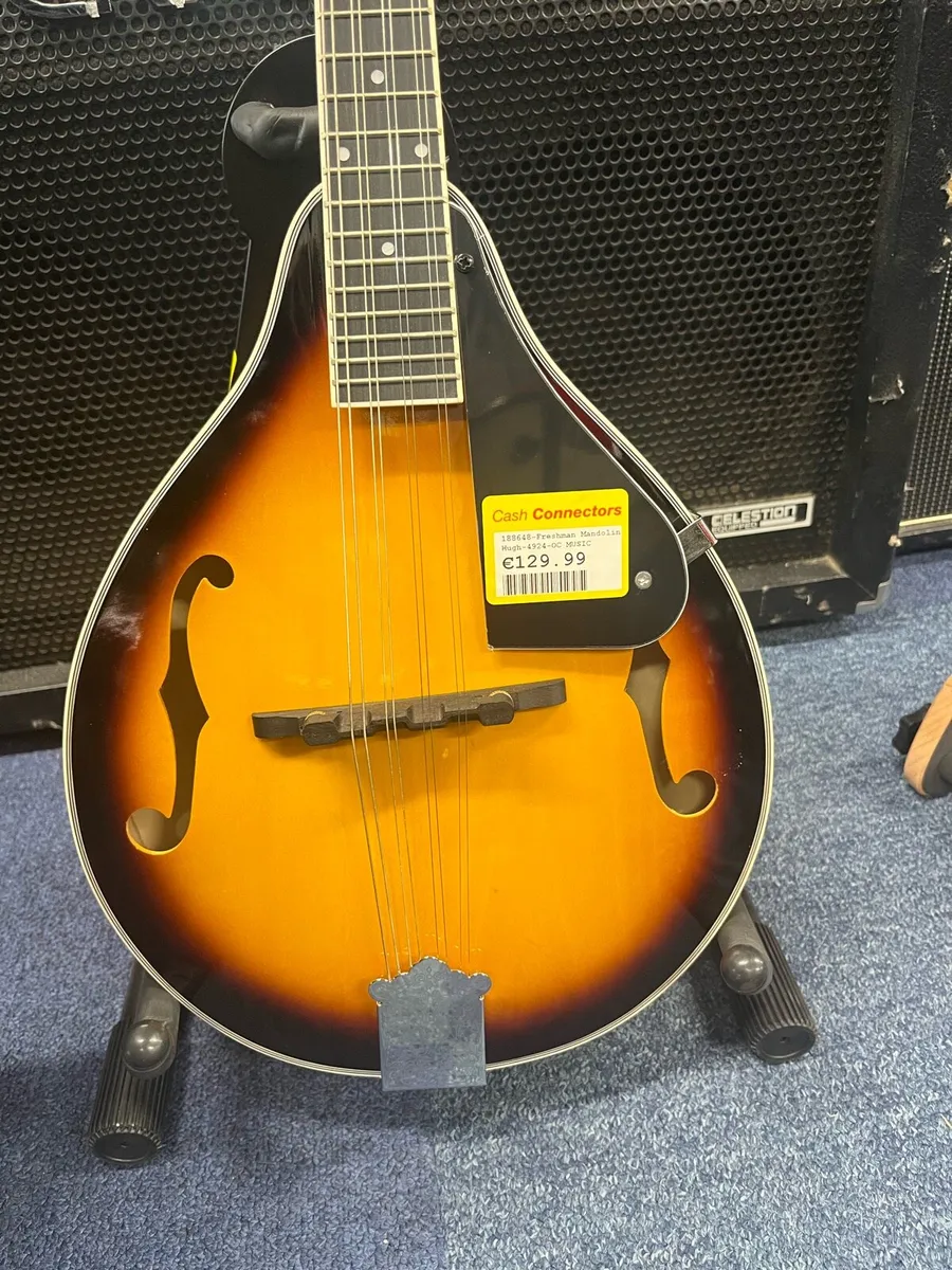 Freshman Mandolin - Image 2