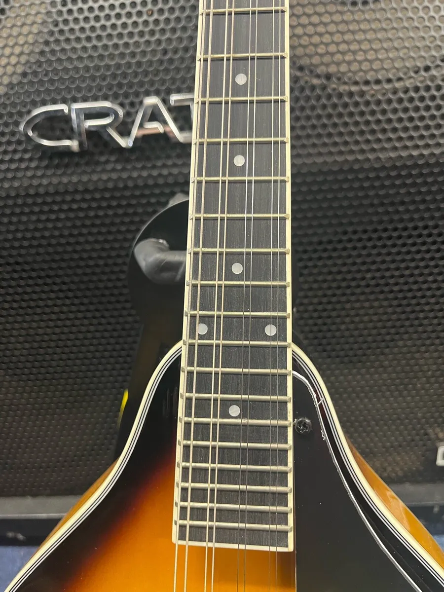 Freshman Mandolin - Image 3