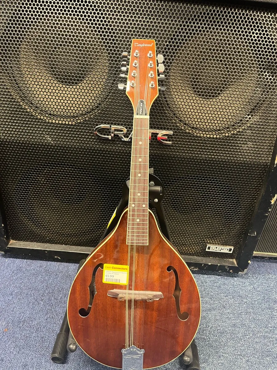 Tanglewood Mandolin - Image 1