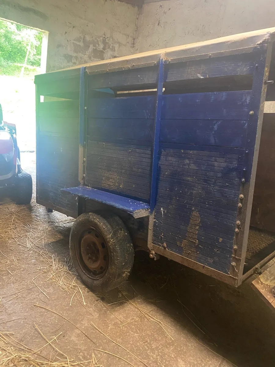 Cow Tralier - Image 3