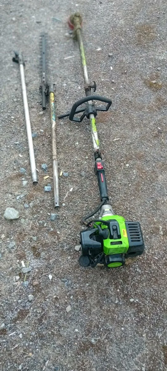 Strimmer. - Image 2